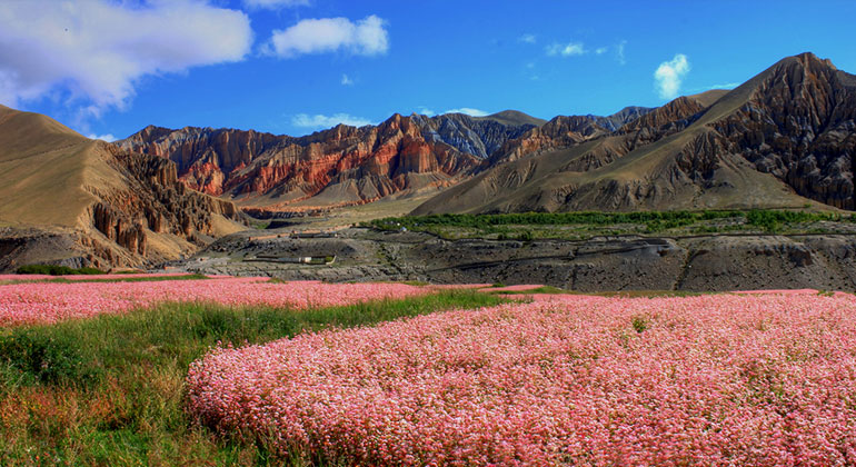 Mustang Tour - 5 Days